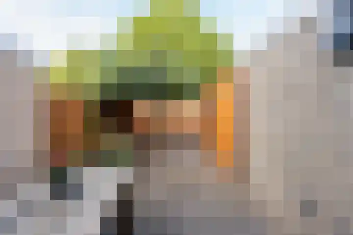 Hesselterbrink 267 Emmen thumbnail 26