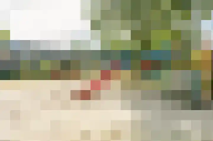 Hesselterbrink 267 Emmen thumbnail 28