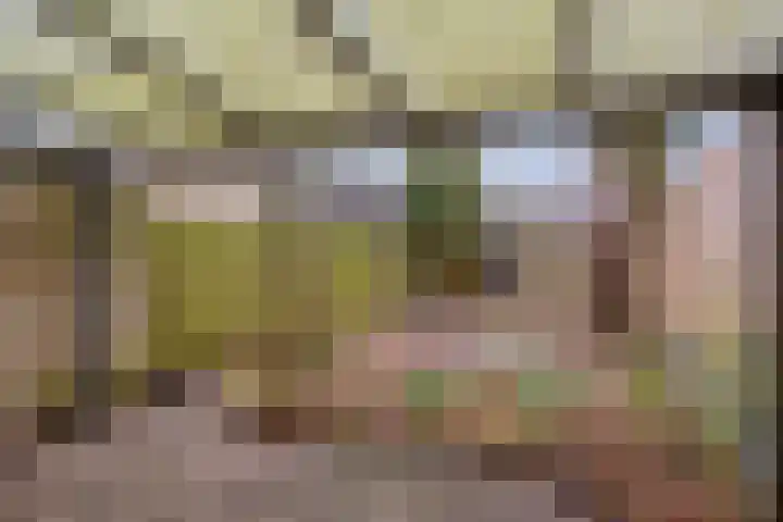 Hesselterbrink 297 Emmen thumbnail 21