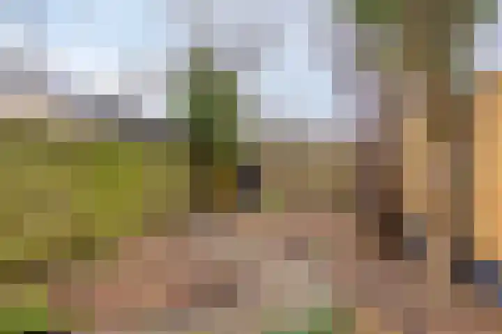 Hesselterbrink 297 Emmen thumbnail 22