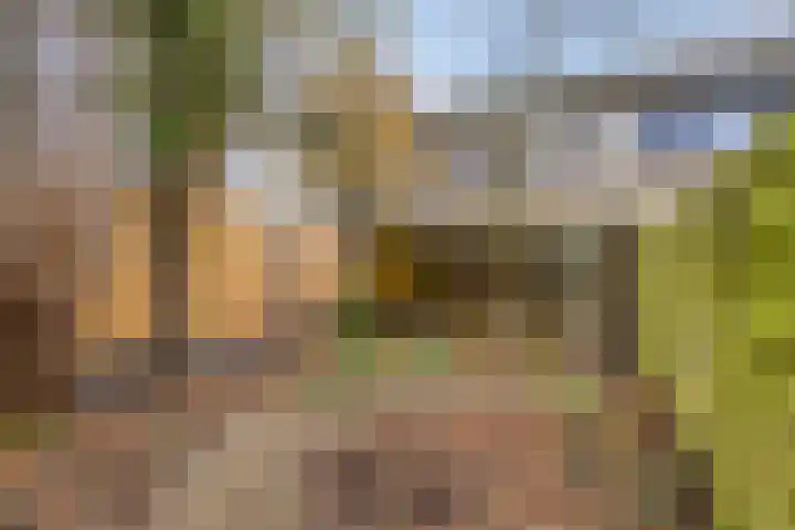 Hesselterbrink 297 Emmen thumbnail 23