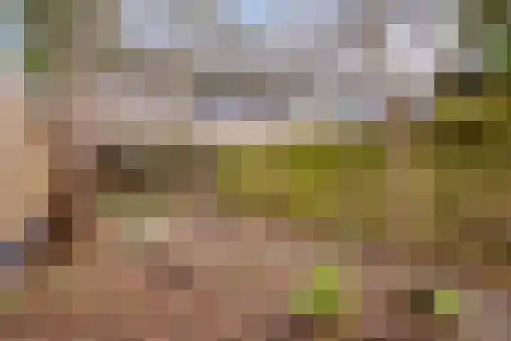 Hesselterbrink 297 Emmen thumbnail 25