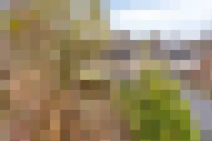 Hesselterbrink 297 Emmen thumbnail 27