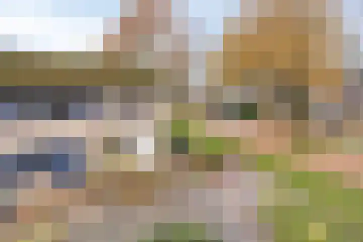 Hesselterbrink 297 Emmen thumbnail 29