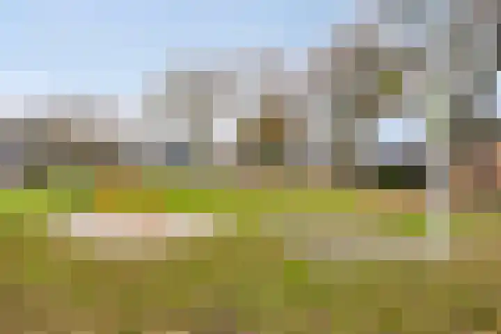 Hesselterbrink 297 Emmen thumbnail 32