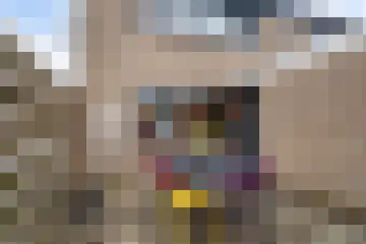 Hesselterbrink 342 Emmen thumbnail 31