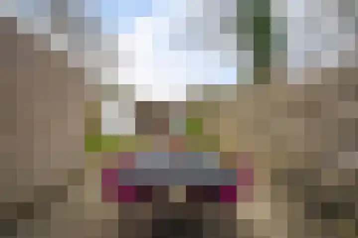 Hesselterbrink 342 Emmen thumbnail 33