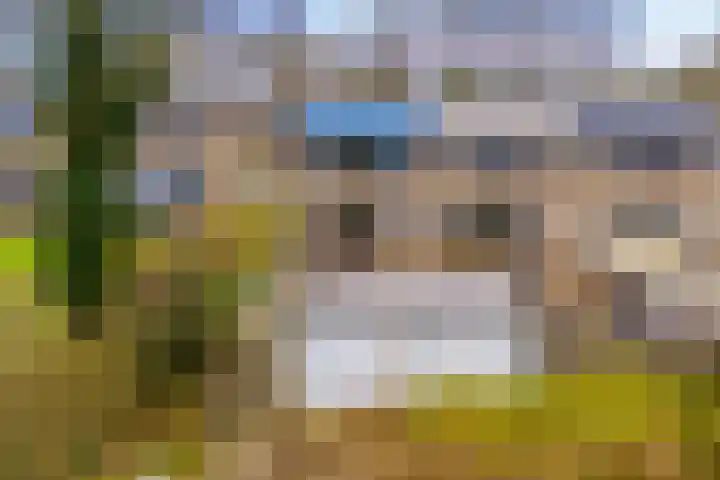 Hesselterbrink 342 Emmen thumbnail 39