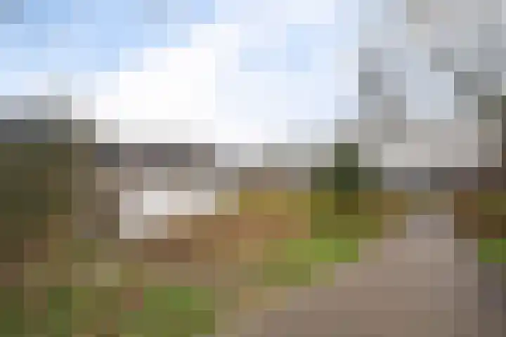 Hesselterbrink 342 Emmen thumbnail 42