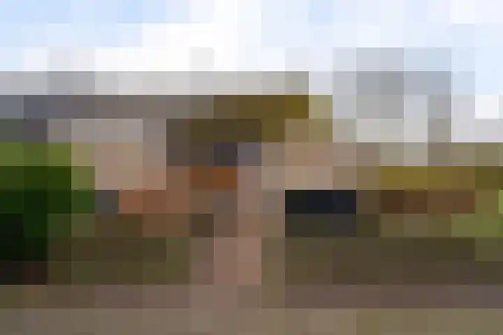 Hesselterbrink 342 Emmen thumbnail 44