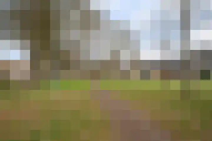 Hesselterbrink 342 Emmen thumbnail 48