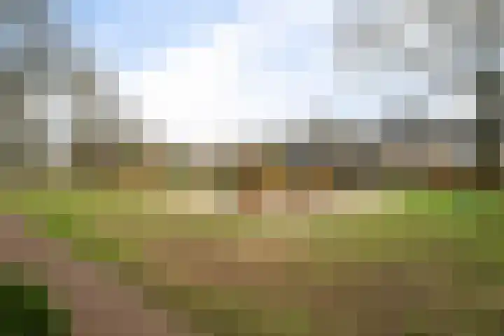 Hesselterbrink 342 Emmen thumbnail 50