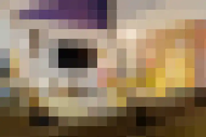 Hesselterbrink 342 Emmen thumbnail 6