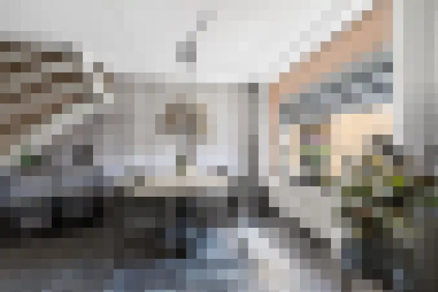 Hesselterbrink 38 Emmen thumbnail 13