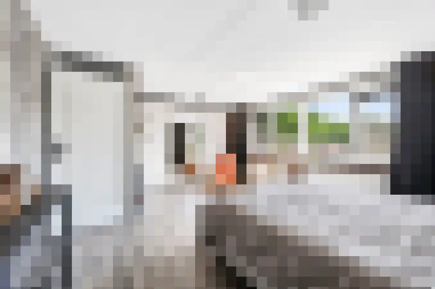 Hesselterbrink 38 Emmen thumbnail 23