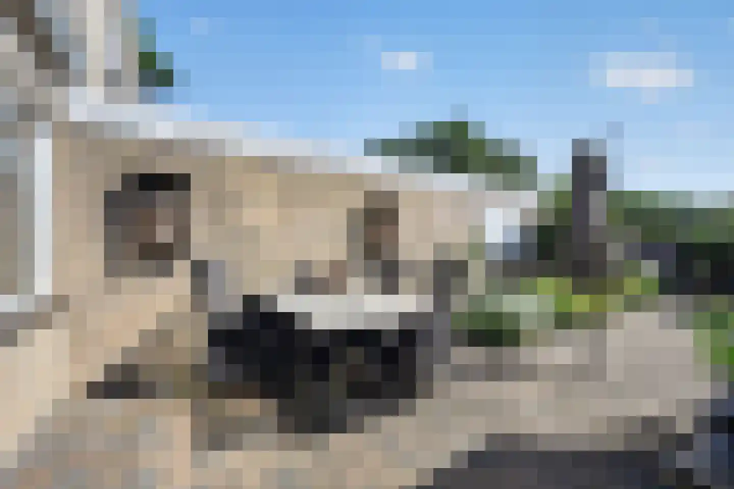 Hesselterbrink 38 Emmen thumbnail 31
