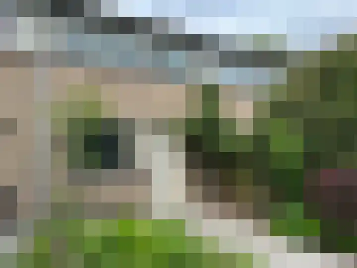 Hesselterbrink 390 Emmen