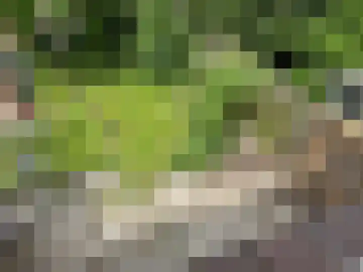 Hesselterbrink 390 Emmen thumbnail 10
