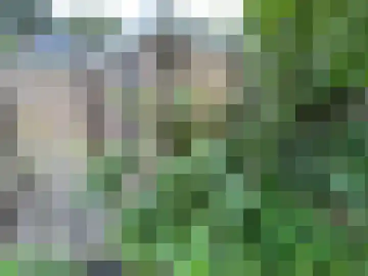 Hesselterbrink 390 Emmen thumbnail 11