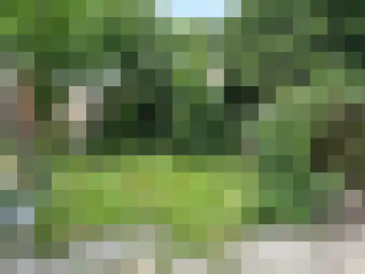 Hesselterbrink 390 Emmen thumbnail 12