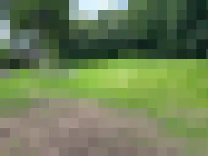 Hesselterbrink 390 Emmen thumbnail 19