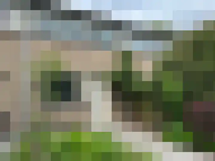 Hesselterbrink 390 Emmen thumbnail 24