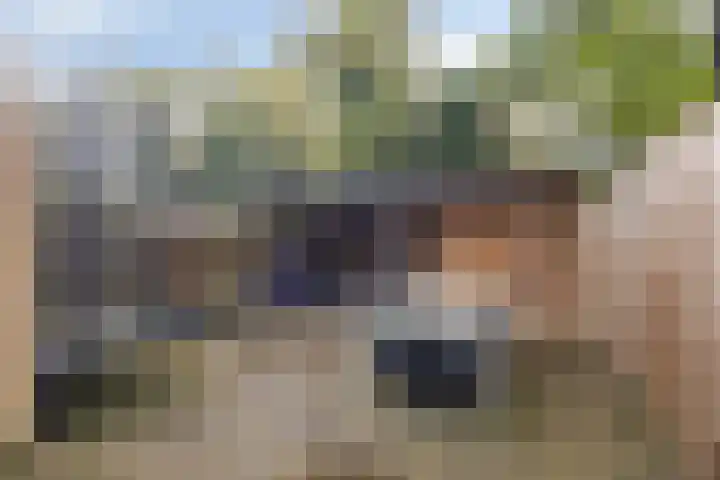 Hesselterbrink 408 Emmen thumbnail 18