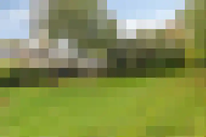 Hesselterbrink 408 Emmen thumbnail 21