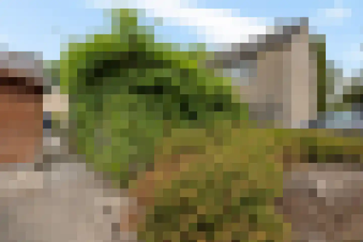 Hesselterbrink 422 Emmen thumbnail 33