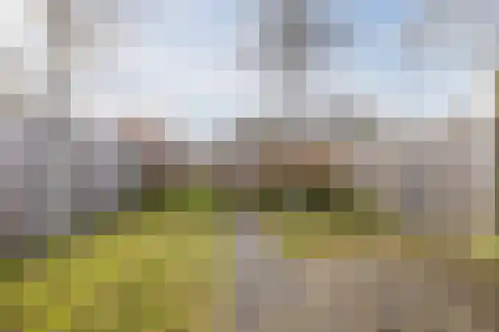 Hesselterbrink 544 Emmen thumbnail 31