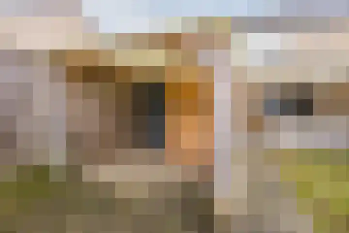 Hesselterbrink 544 Emmen thumbnail 32