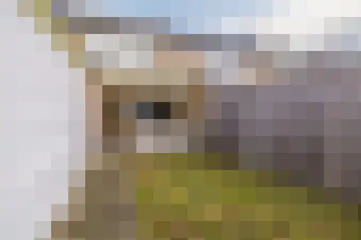 Hesselterbrink 544 Emmen thumbnail 33