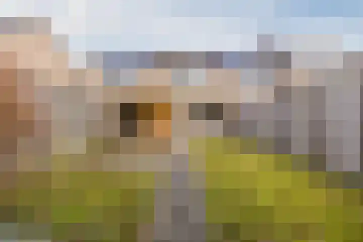 Hesselterbrink 544 Emmen thumbnail 34