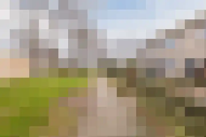 Hesselterbrink 544 Emmen thumbnail 36
