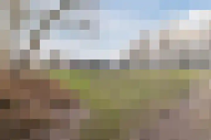 Hesselterbrink 576 Emmen thumbnail 33