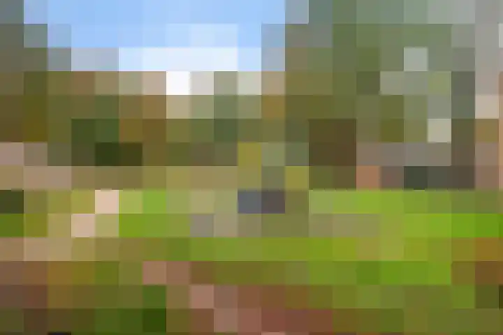 Hesselterbrink 610 Emmen thumbnail 37