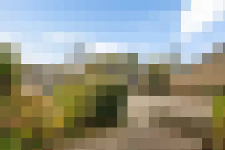 Hesselterbrink 610 Emmen thumbnail 40