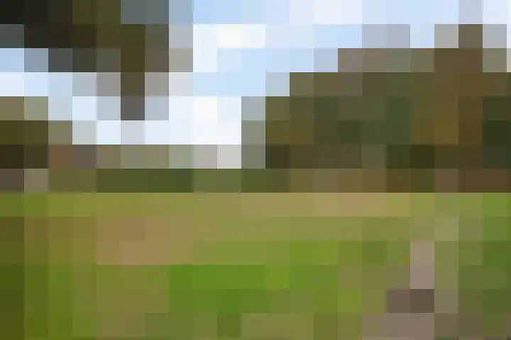 Hesselterbrink 610 Emmen thumbnail 43