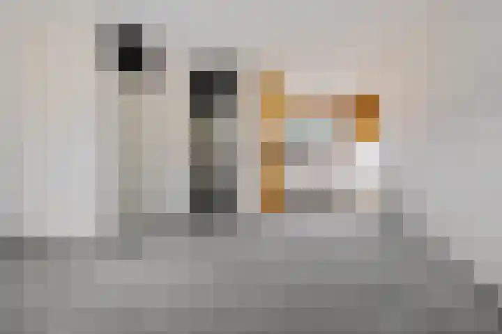 Hesselterbrink 610 Emmen thumbnail 8