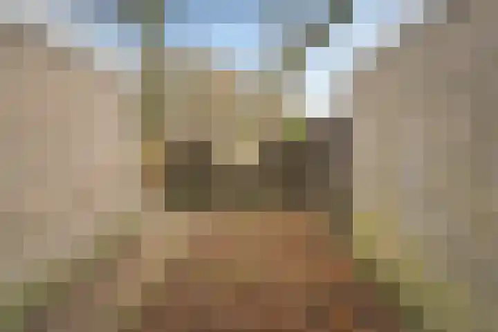 Hesselterbrink 618 Emmen thumbnail 41