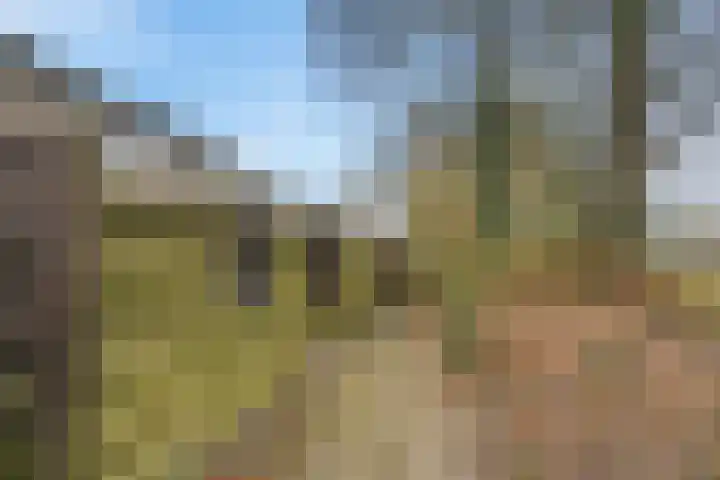 Hesselterbrink 618 Emmen thumbnail 44