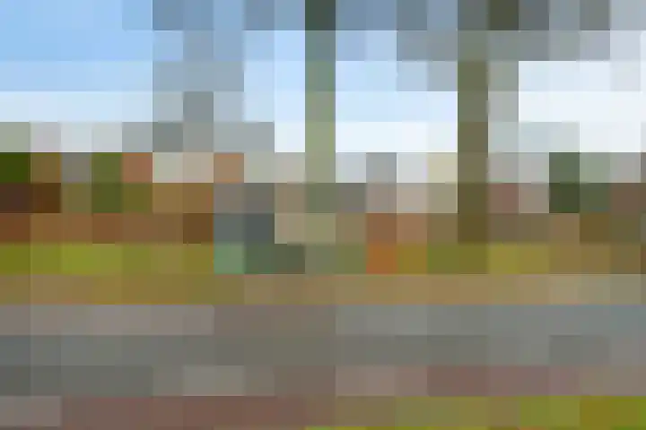 Hesselterbrink 618 Emmen thumbnail 46