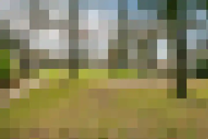 Hesselterbrink 618 Emmen thumbnail 47
