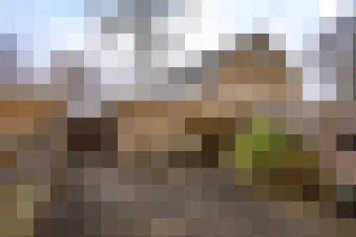 Hesselterbrink 74 Emmen thumbnail 4