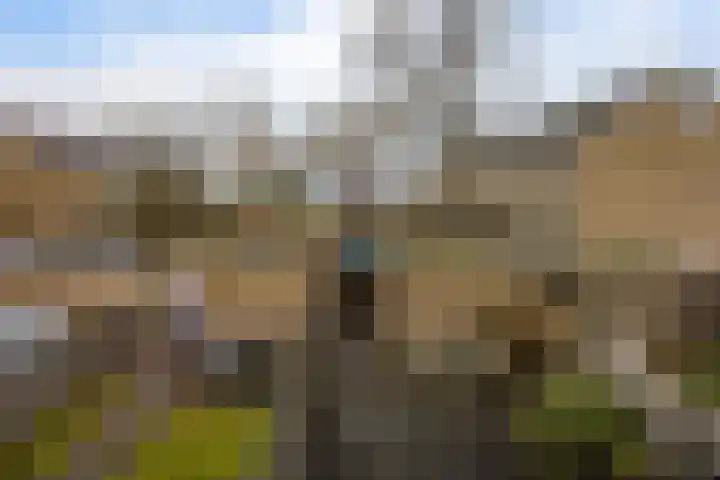 Hesselterbrink 74 Emmen thumbnail 43