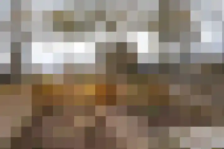 Hesselterbrink 74 Emmen thumbnail 44