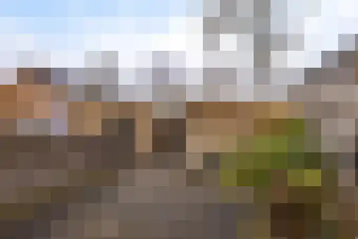 Hesselterbrink 74 Emmen thumbnail 5