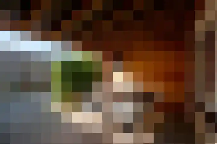 Hesselterbrink 77 Emmen thumbnail 27