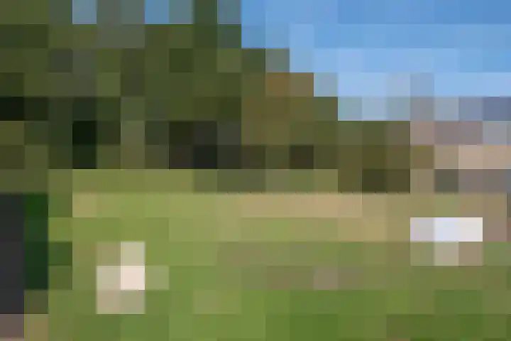 Hesselterbrink 77 Emmen thumbnail 33
