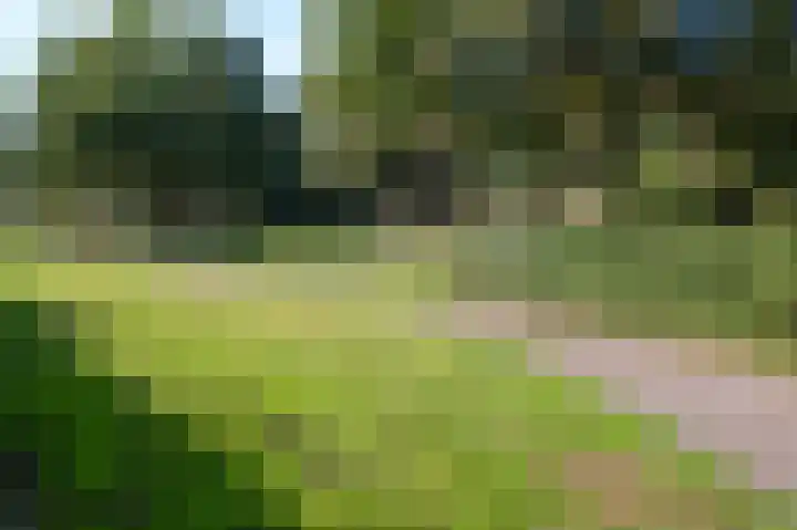 Hesselterbrink 77 Emmen thumbnail 34